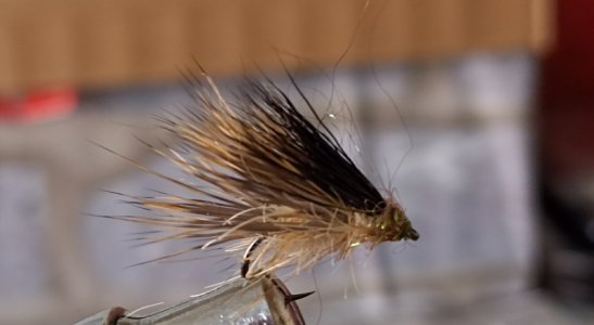 Resizer_16470070421310.jpg