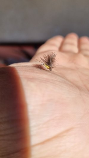 20220312_131421.jpg