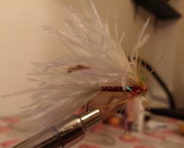 Resizer_16471041786441.jpg
