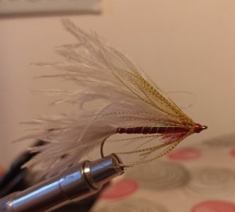 Resizer_16471041786440.jpg