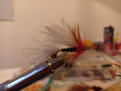 Resizer_16474480936500.jpg