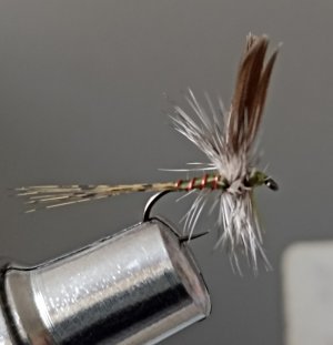 Resizer_16475285375650.jpg