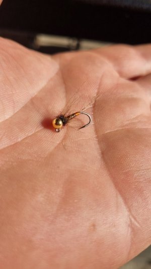 20220319_151620.jpg