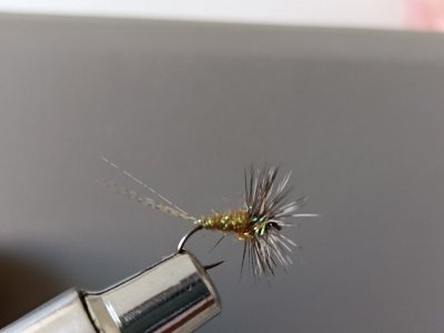 Resizer_16478613762701.jpg
