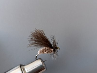 Resizer_16478613762700.jpg
