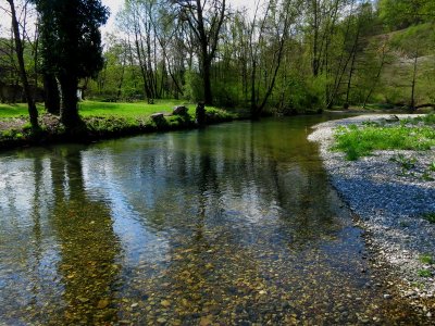 IMG_1864.jpg