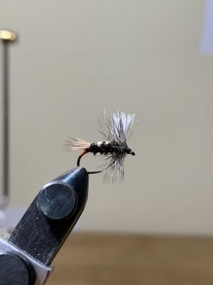 E95DDA1F-09AD-438E-8294-47F0607A58FA.jpeg