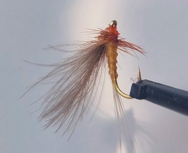 20220829_104702.jpg