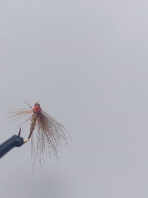 20220829_104514.jpg