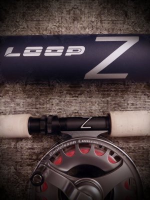 Loop ZX 15' #10.jpg