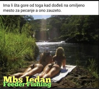 3D1274BD-1453-4A44-93FD-4E8285D99511.jpeg