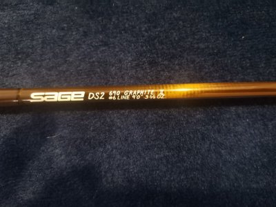 Sage1.jpg