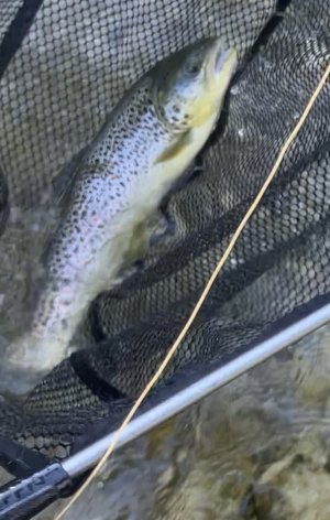 IMG_3182.jpeg IMG_3182.jpeg