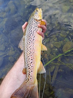 20230709_181421.jpg