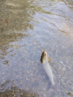 IMG_20230718_073752.jpg