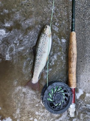 IMG_20230716_180854.jpg