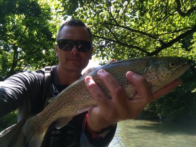 IMG_20230712_122236.jpg