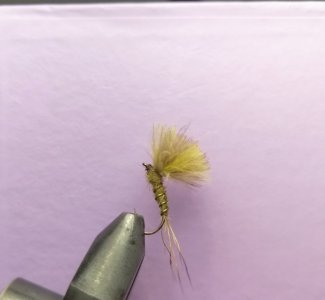 IMG_20240120_084644.jpg
