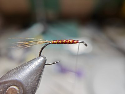 IMG20240123230118.jpg