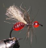 Zacoola Red Ant.jpg