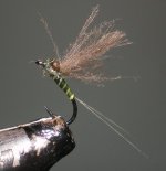 #20 BWO.jpg