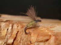 Winter chub BWO.jpg