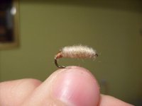 S7300540.JPG