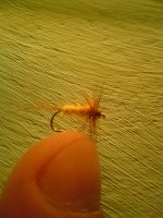 MNOGO OLD CLASSIC MAYFLY...jpg