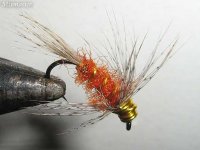 Orange Wirehead.jpg