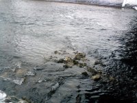 Nisava danas-5.jpg