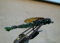 damselflies.jpg