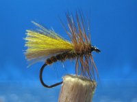 CDC-3-color-in-wing caddis!.jpg
