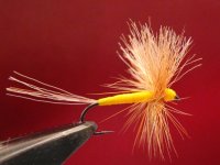 Yellow poly wing  MAYFLY.jpg