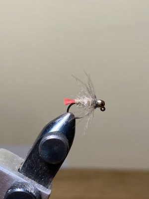IMG_9808.jpeg