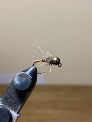 IMG_9809.jpeg