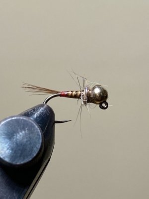IMG_9814.jpeg