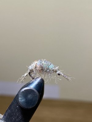 IMG_9823.jpeg