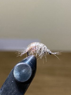 IMG_9825.jpeg