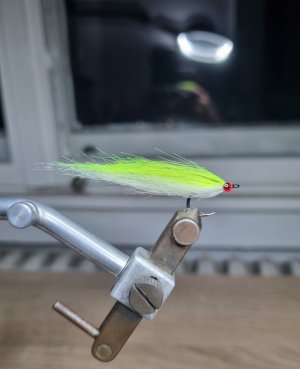20240514_203019.jpg