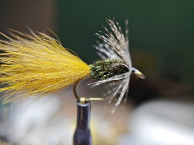 IMG20240603134114.jpg