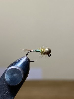 IMG_0776.jpeg