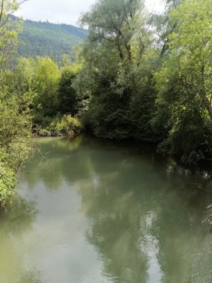 IMG_20240623_164808.jpg
