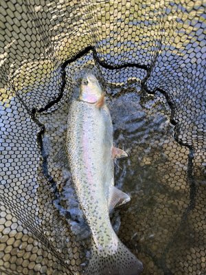 IMG_0569.jpeg