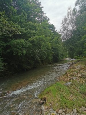 IMG_20240703_173241.jpg