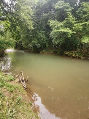 IMG_20240703_171643.jpg