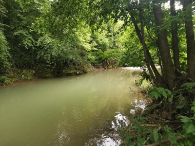 IMG_20240703_164419.jpg