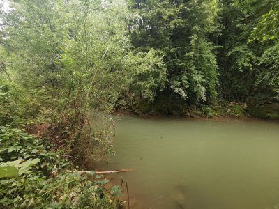 IMG_20240703_164422.jpg