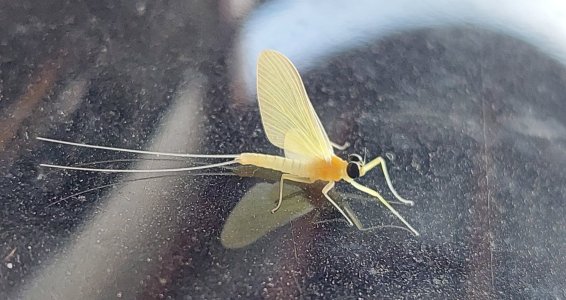 20240710_071526.jpg