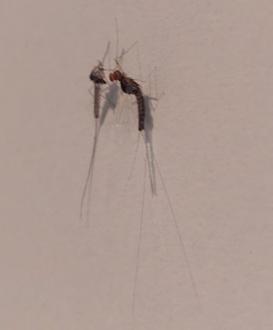 20240704_134443.jpg