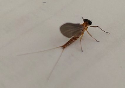 20240702_101102.jpg